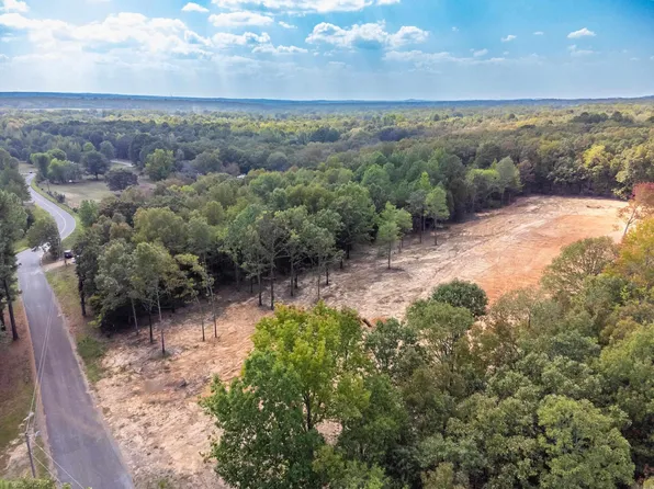 3 Wilderness Rd, Greenbrier, AR 72058