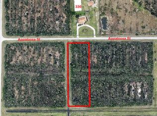 337 Appaloosa St, Palm Bay, FL 32909