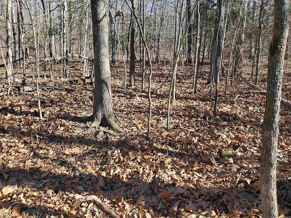 1st image of 15776 Highway 74 E Tract 1