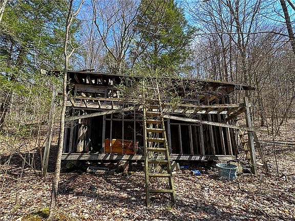 5th image of 1232 Bell Hill Rd