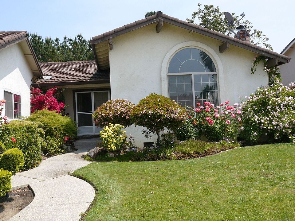 Front View in Spring