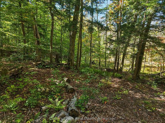5th image of 0 Estonian Camp Rd