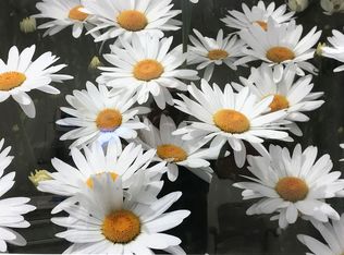 24708 Sertic Rd, Veneta, OR 97487