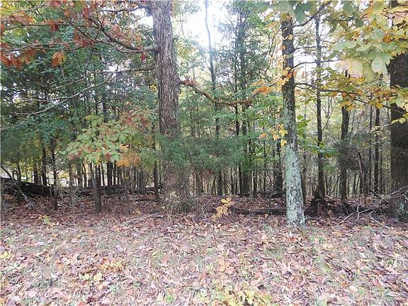 4th image of 0 Barefield Ct Lot 61