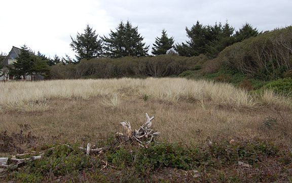 3rd image of 544 Ocean Shores Blvd NW