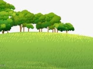 Highway 305, Coldwater, MS 38618