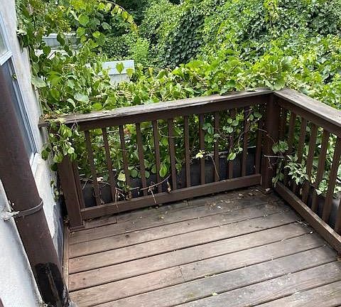 5th image of 2348 Christian St Floor 2