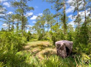 SW Live Oak Rd, Madison, FL 32340