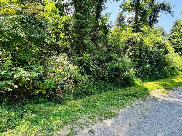 0 Bream Dr, Buchanan, TN 38222