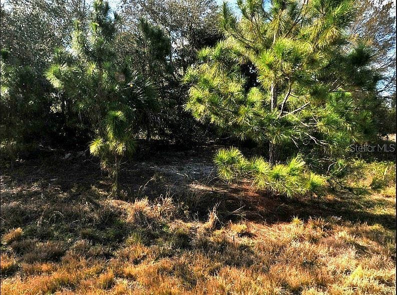 2nd image of Hope Ct #69