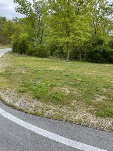 Lot #27 Forest Lake Drive, Reeds Spring, MO, 65737