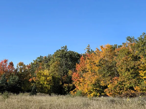 11080 Wolf Creek Rd, Hubbard Lake, MI 49747