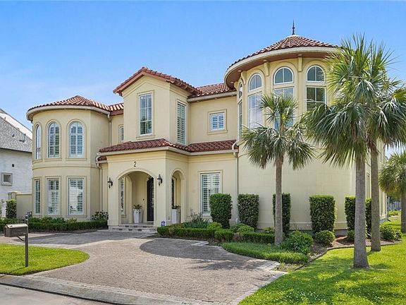 2nd image of 2 Cycas