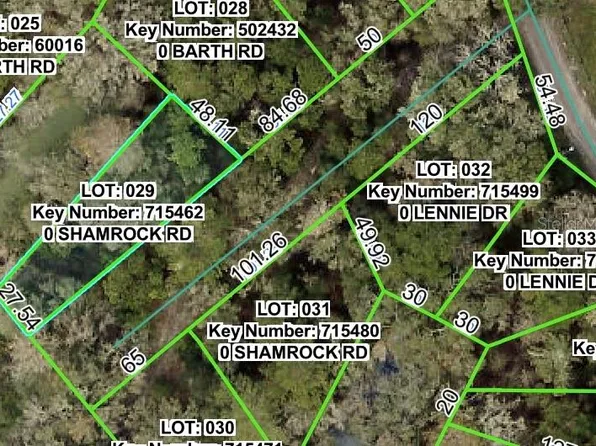Shamrock Rd Lot 29, Dade City, FL 33523