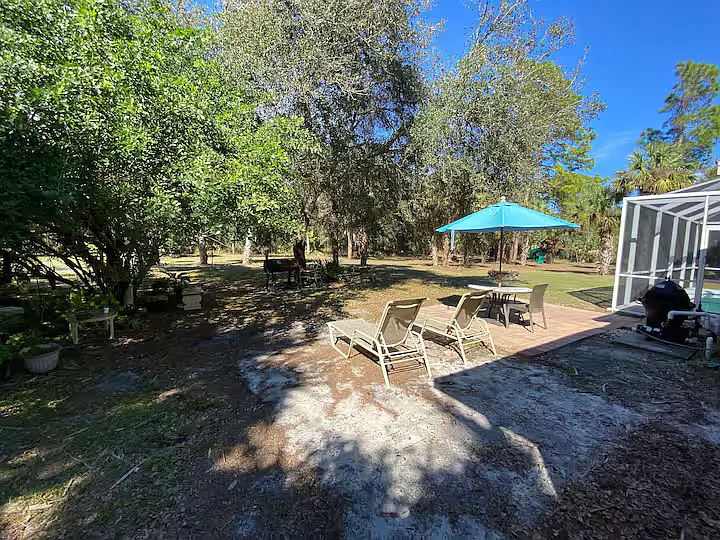 5540 Allamanda Ave — Photo 3