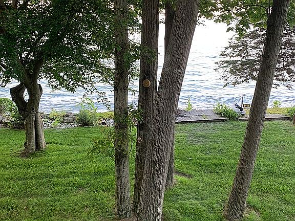 View from deck