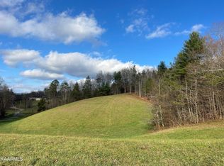 Blue Mill Rd, Del Rio, TN 37727