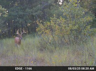 000 N State Highway 125, Bradleyville, MO 65614
