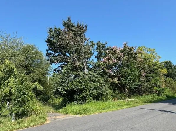 1249 Little Bear Trl, Cana, VA 24317