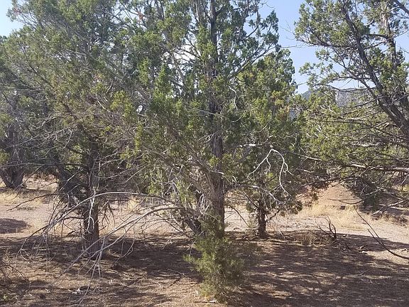 2nd image of 4257 S Arrowhead Ln