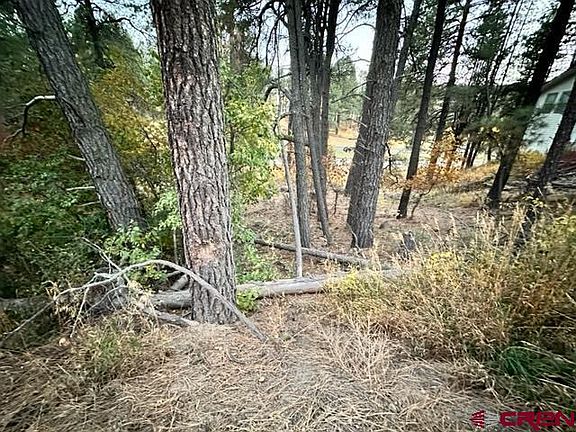 3rd image of 616 Forest Lakes Drive