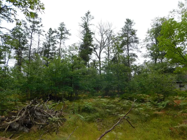 4031 Diamond Dr, Grayling, MI 49738