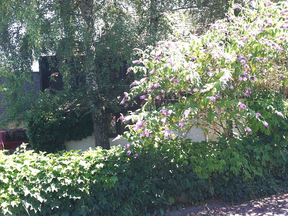 1st image of 3929 NE Belvoir Pl