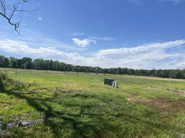 16035 Leni Dr, Prairieville, LA 70769
