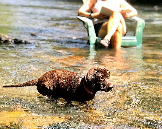 Best way to stay cool. 