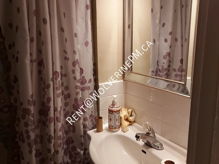 168 Arkell St #4 — Photo 9