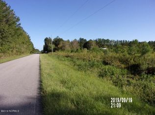 0 Van Eden Rd, Willard, NC 28478