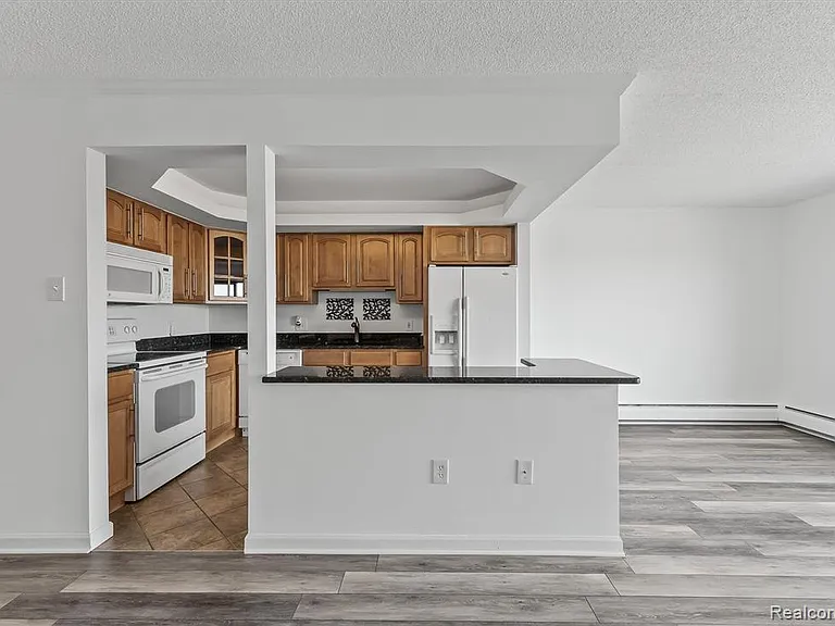 35300 Woodward Ave #507 — Photo 10