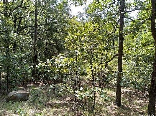 2nd image of 9903 Panther Mountain Rd