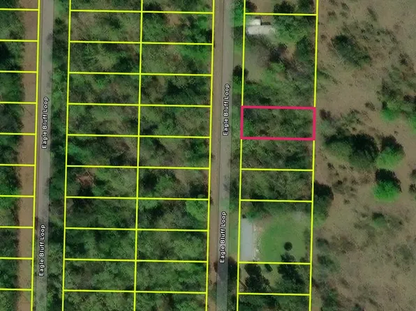 386 Eagle Bluff Loop Lot 386, Avinger, TX 75630