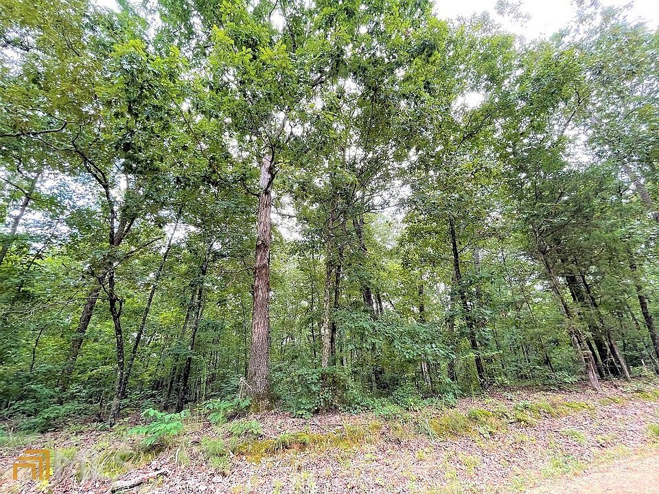 0 Tim Prince Dr, Elberton, GA 30635 Zillow