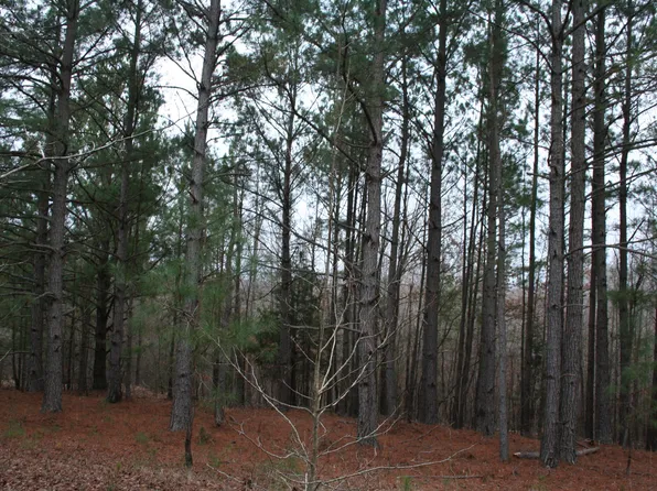 0 FORTSON Road, Lincolnton, GA 30817