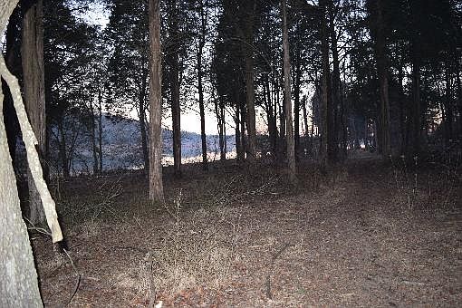 2nd image of 460 Chelaque Way Lot 6R