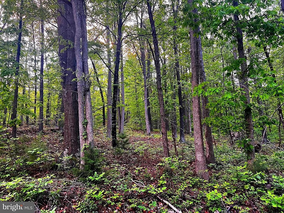 1st image of 7 Dumpling Run Rd