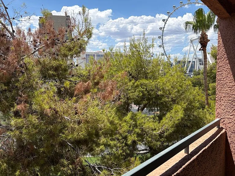 220 E Flamingo Rd #422 — Photo 23