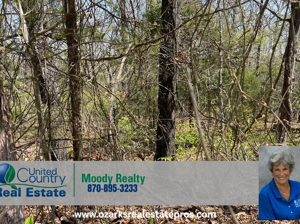 1305 Indiana Ave, Horseshoe Bend, AR 72512