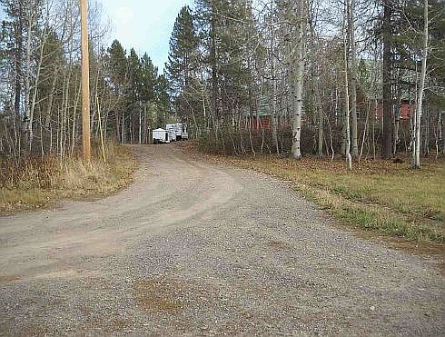 Driveway up to the cabin