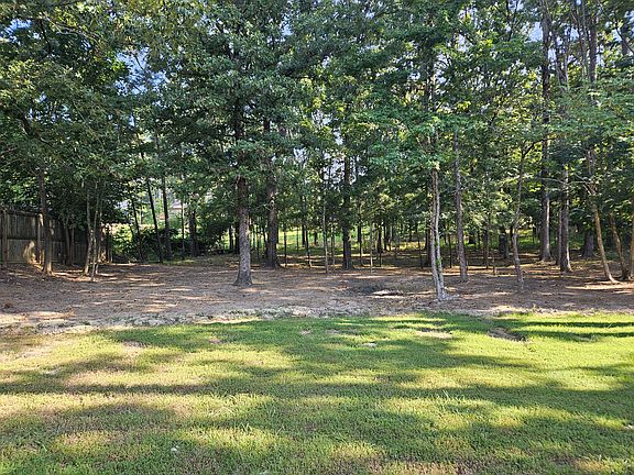 View of the back yard