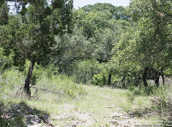 2nd image of 10021 Scenic Hills Dr
