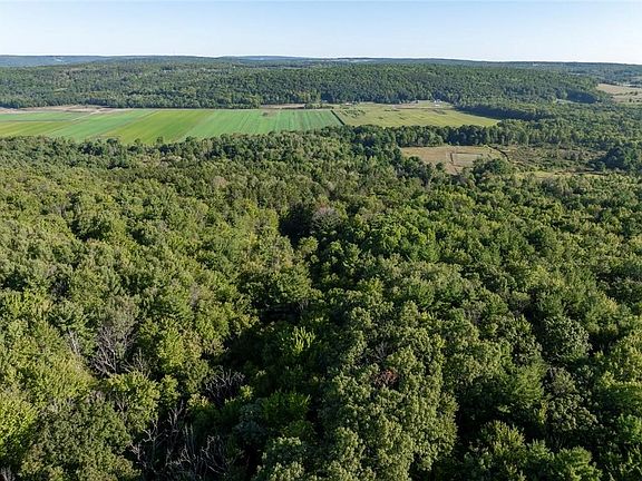 4th image of 9894 Mountain Rd #25