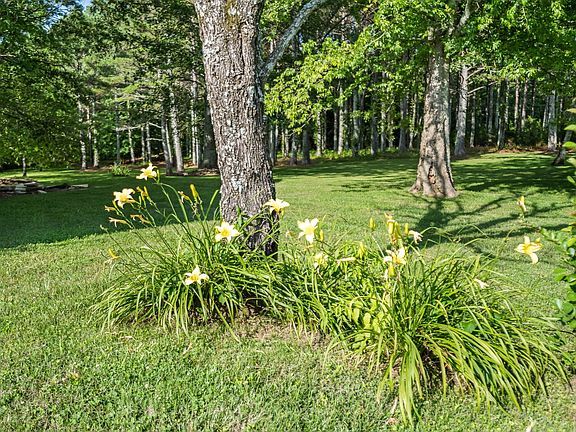 44th image of 1825 Elkton Pike