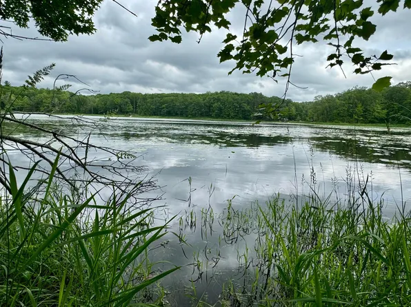 Red Stone Dr, Cushing, MN 56443