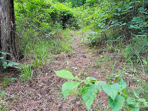 3rd image of County Road 4590