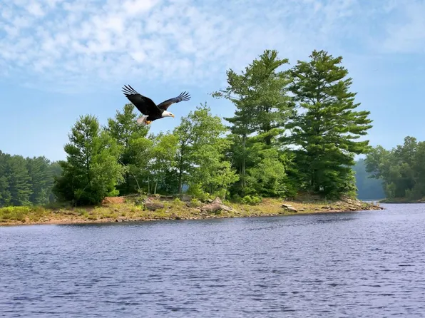 Whispering Woods Drive, Mongaup Valley, NY 12762