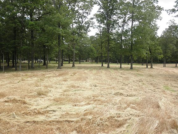 3rd image of 2821 Cypress Village Drive