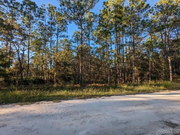 SW 52nd Lane Rd, Ocala, FL 34481